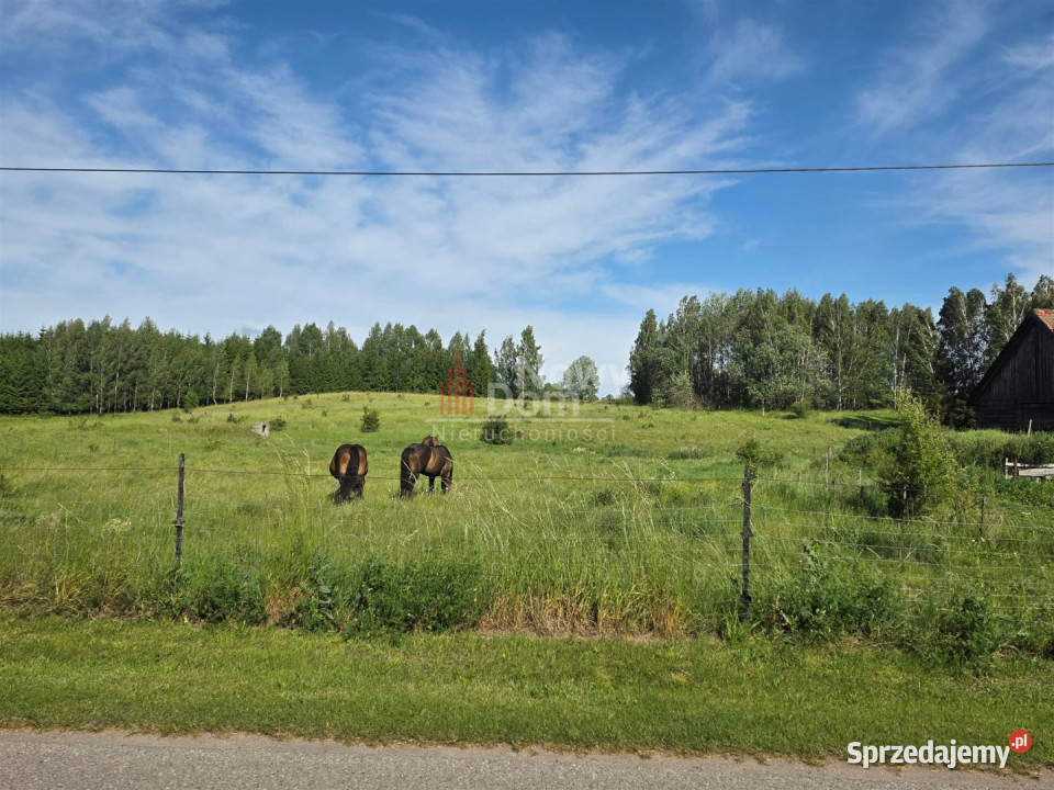 Działka 41867m Miłki