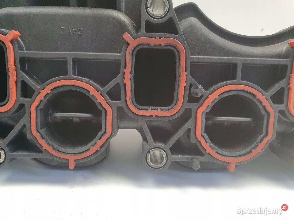 Audi A3 II 8P 16 TDI KOLEKTOR SSĄCY nastawnik Rudka