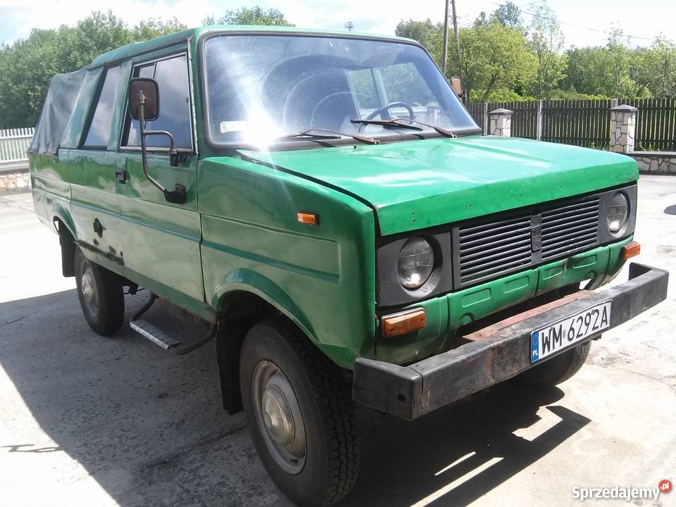 Tarpan Tarpan śląskie Myszków