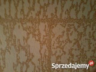 tapeta w kafelki Łódź sprzedam