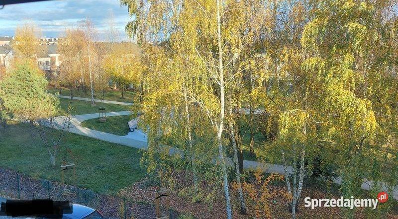 2pok 42met Parafialnej ROZKŁADPIWNICA Wrocław Liczba pokoi 2 Mieszkania dolnośląskie