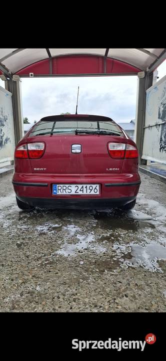 Leon CD podkarpackie Glinik