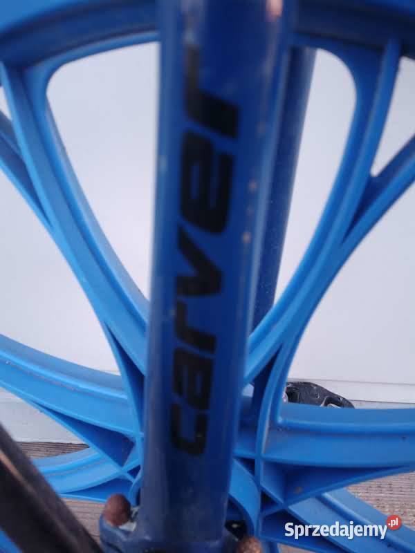 Monocykl jednokołowiec Carver sprawny