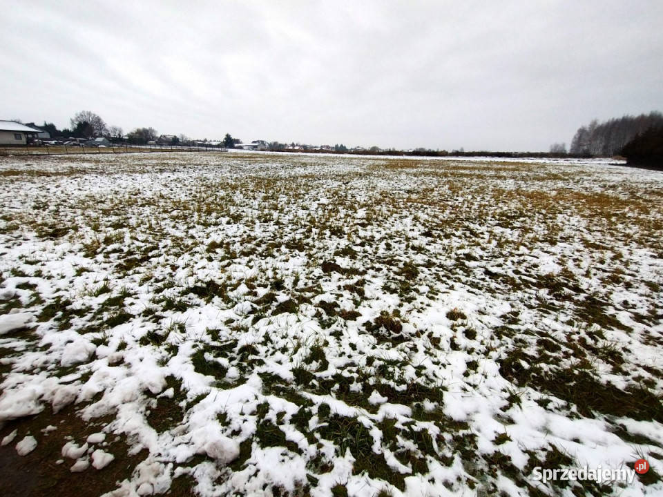 Do sprzedaży działka 1164m2 Wola Niemiecka