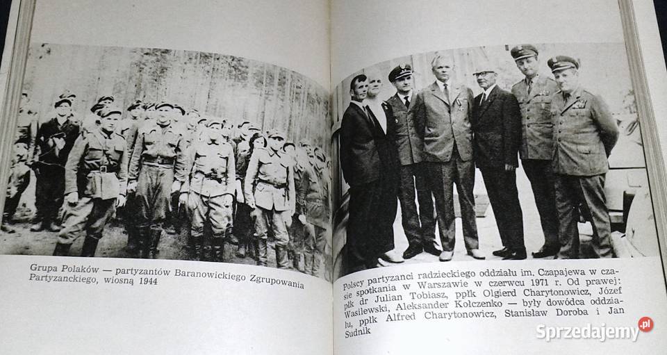 Polacy w europejskim ruchu oporu 19391945 M Rok wydania 1972 Chełm