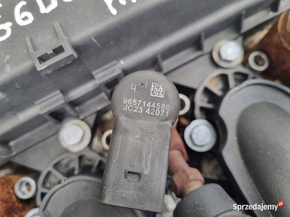 SILNIK KOMPLET Ford Kuga 20 TDCI 136 ładnie osobowe Rudka