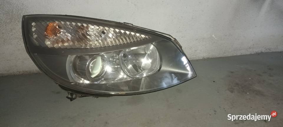 Przednia lampa xenon Renault Scenic 2 prawa Rząśnia