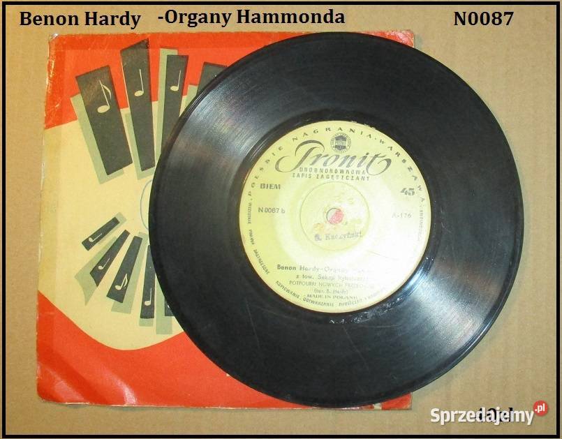 Bing Crosby płyty Hardy Maanam Urszula Blondie Łódź