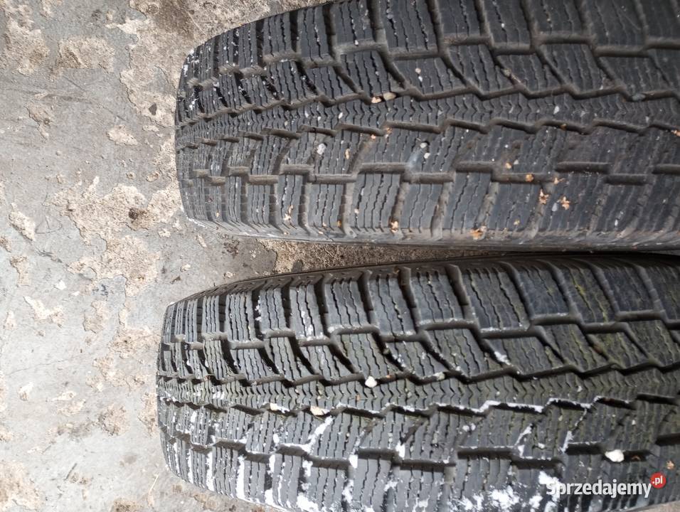 opony 19570r15c zimowe do busa