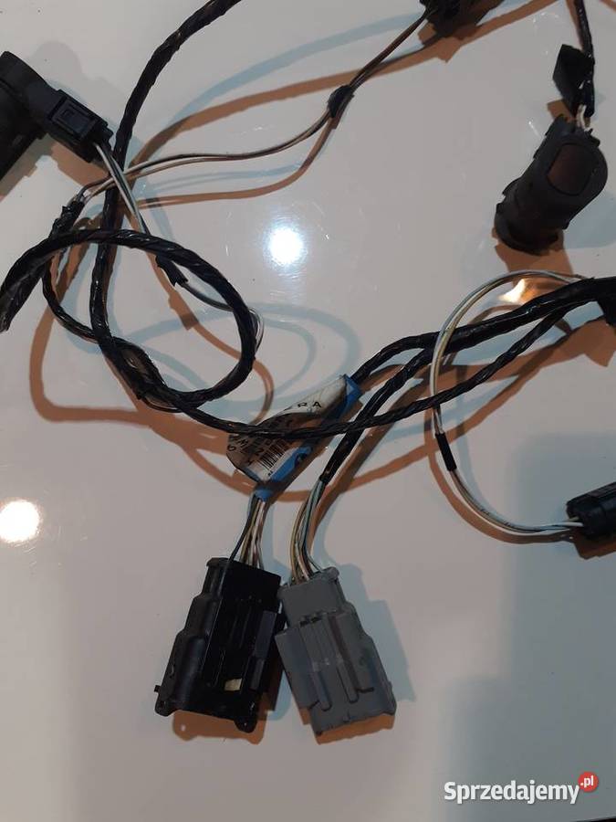 Czujniki parkowania tył Laguna Czujniki kąta skrętu sprzedam