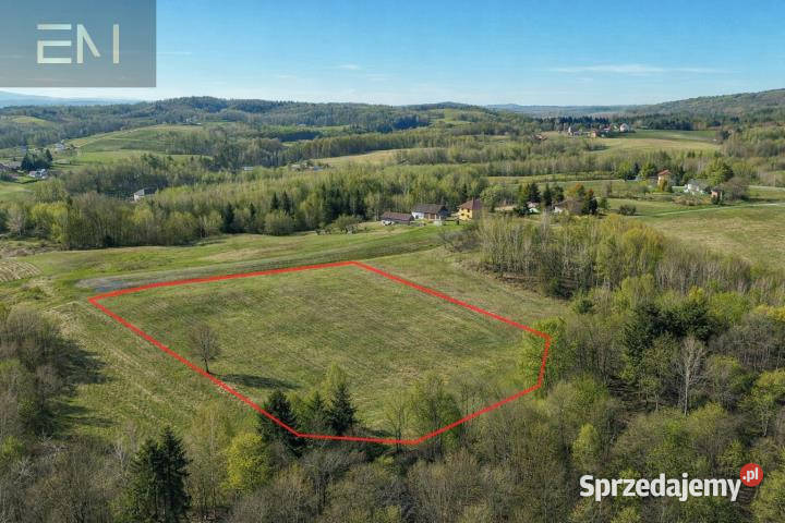 Działka 8800m2 Huta Gogołowska