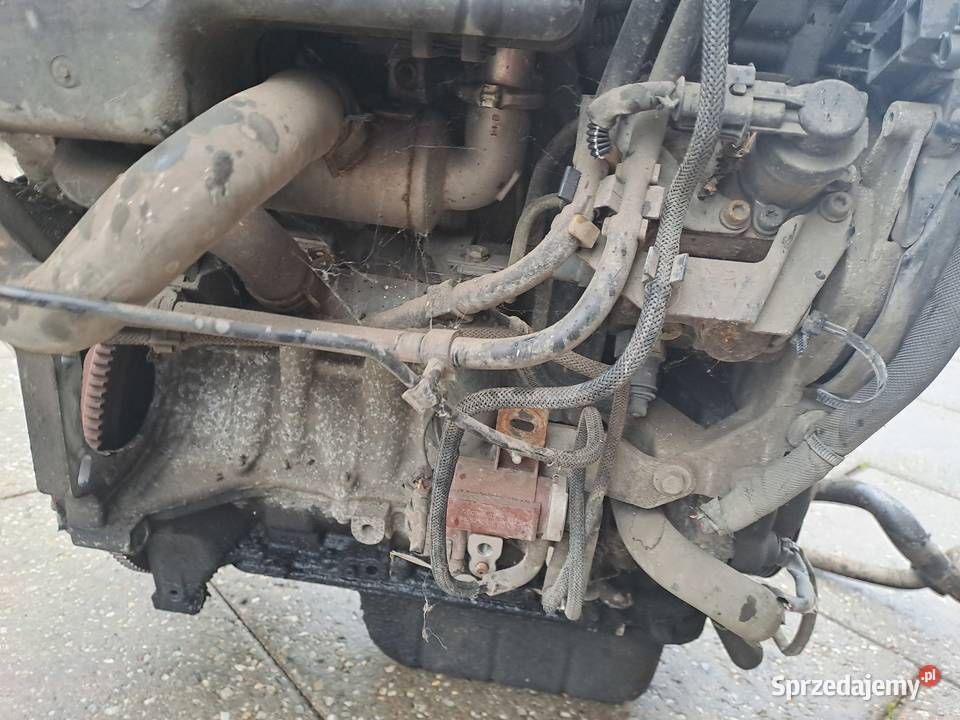 Citroen Peugeot 16 HDi 90 silnik kompletny kod Rok produkcji 2007 Jastrzębie-Zdrój