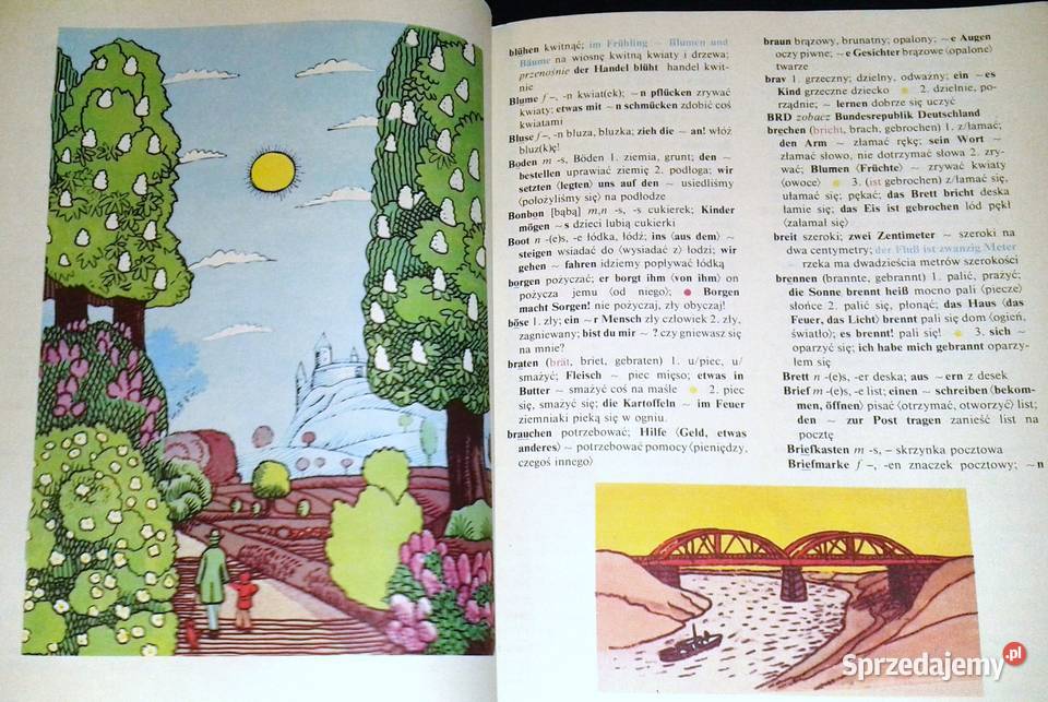 Ilustrowany słownik dzieci niemieckopolski sprzedam