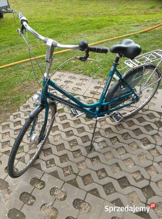 Rower holenderski bavatus Tyczyn