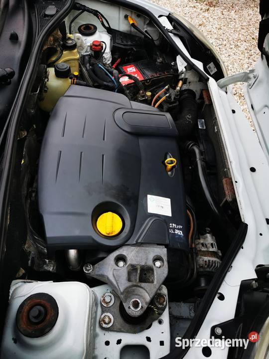 Nissan Kubistar Kangoo Berlingo 1500cm3 świętokrzyskie Lechów sprzedam