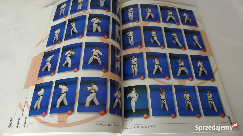 Bruin Kyokushin Karate 104 DanKata 2 ks Radom