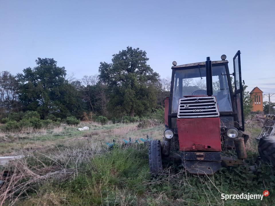 Zetor 8011 880286461 Głogów sprzedam