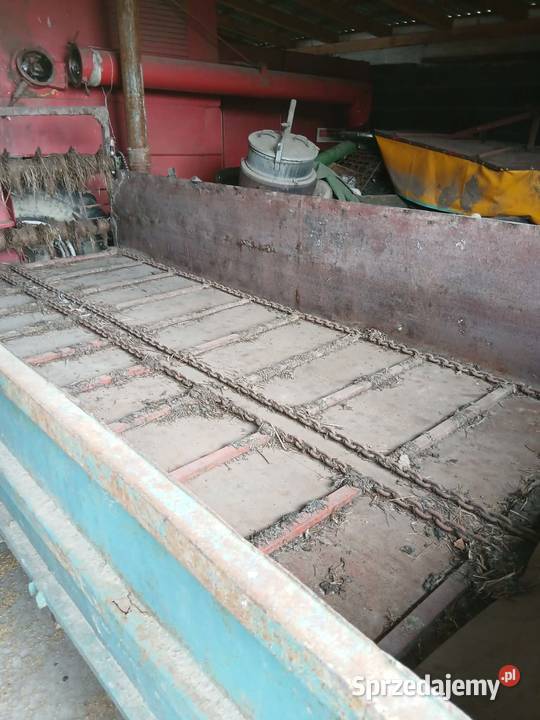 Rozrzutnik łódzkie Zygry