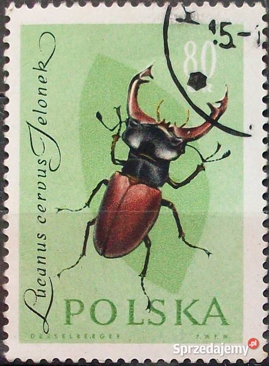 Polska1132113311341135113611371138113911401141114 łódzkie