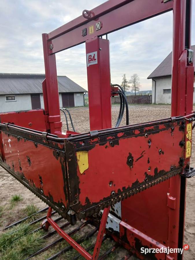 Wycinak bvl 145 Łyse