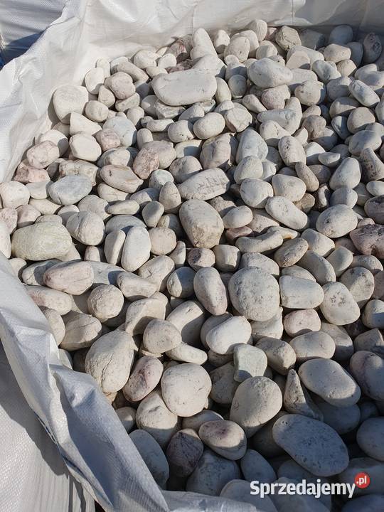 OTOCZAK BŁĘKITNY OTOCZAK DO OGRODU OZDOBNY