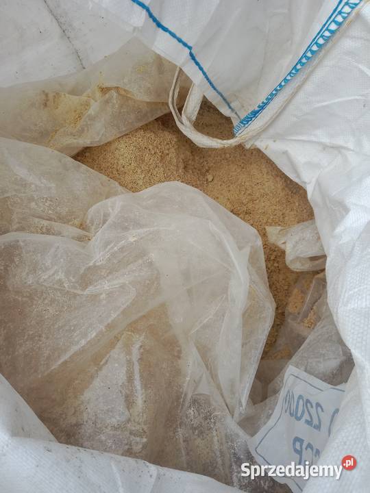 kukurydza mielona Suwałki