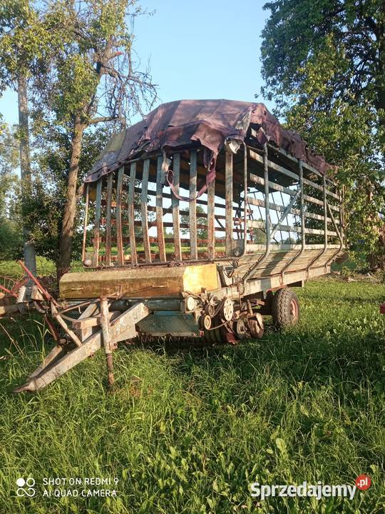 Przyczepa samozbierająca Zalesie