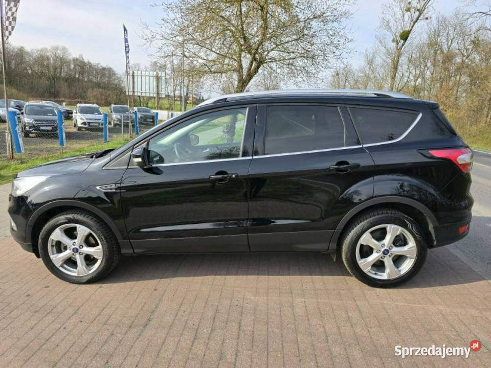 Ford Kuga Ford Kuga 15 Ecoboost 150 z niskim światła przeciwmgielne Kuga Cielcza