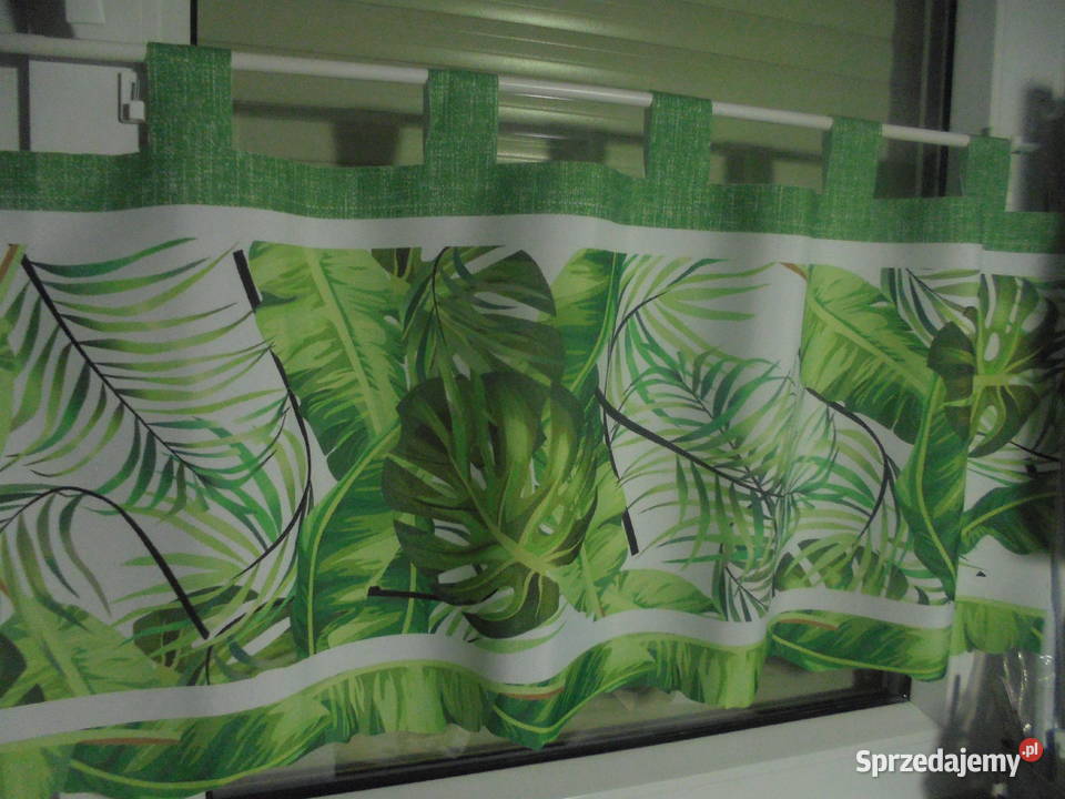 wyprzedaz zazdrosek liscie monsterana wys 43 na odcienie zieleni Włocławek