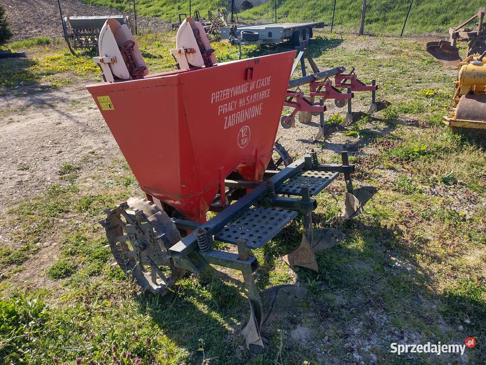 Sadzarka do ziemniaków Polska nowa sprzedam