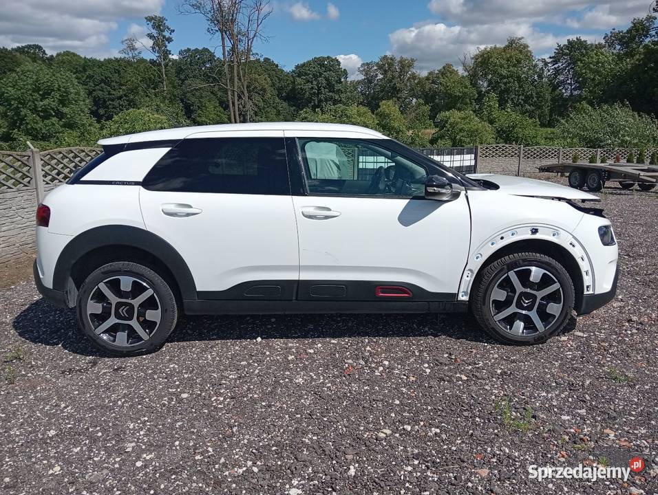 C4 cactus 12 automat