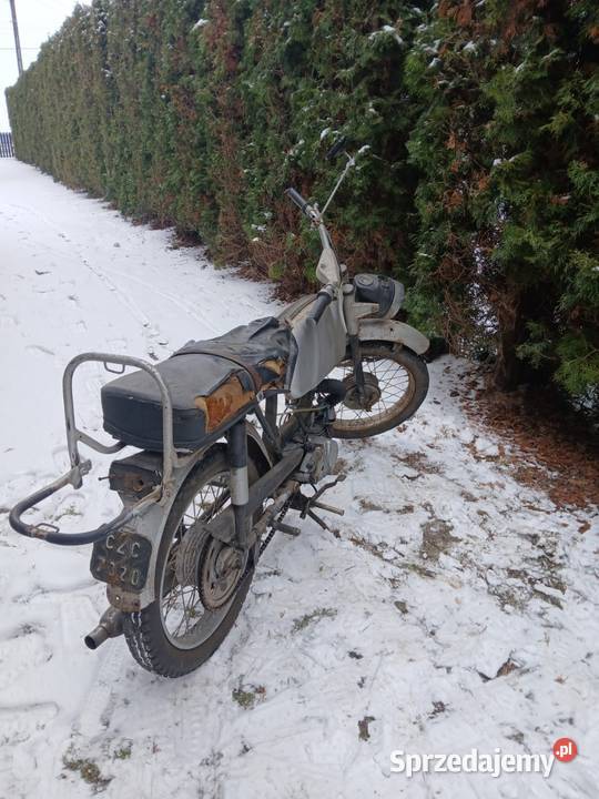 Jawka mustang śląskie Pawonków