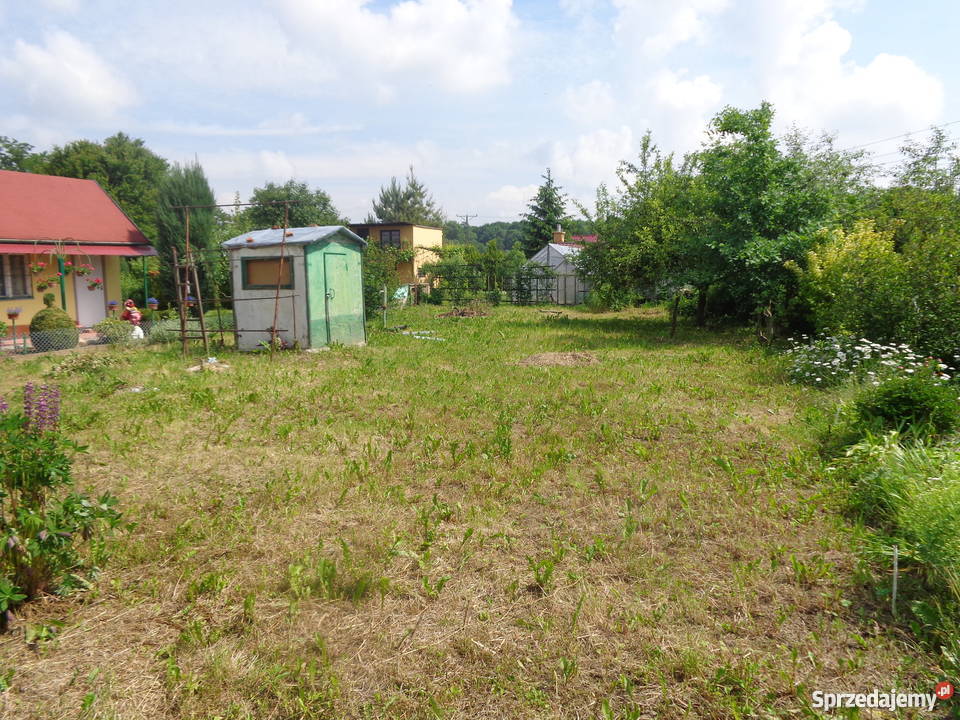 Sprzedam Ogródek Działkowy 400m2 budka studnia z Nysa