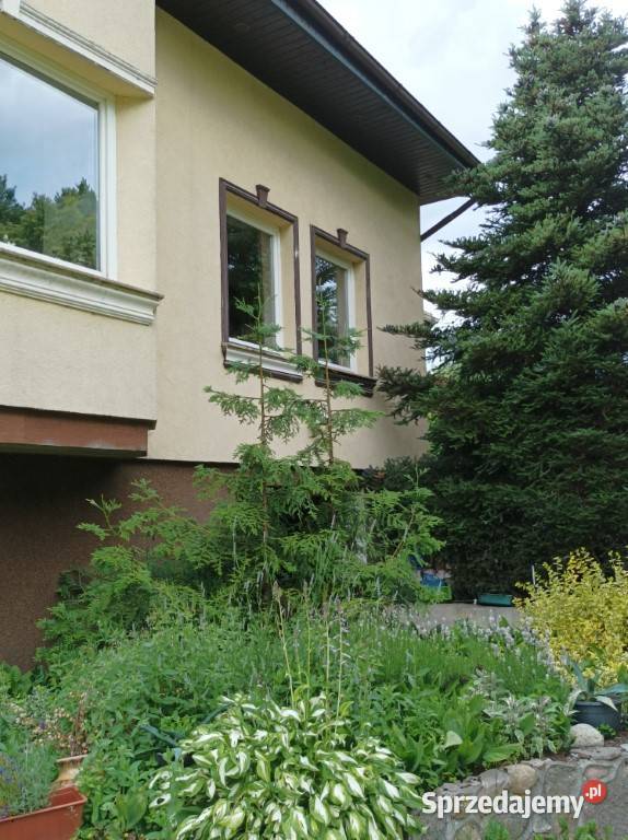 dom z basenem las jezioro Warzenko 10258zł/m2