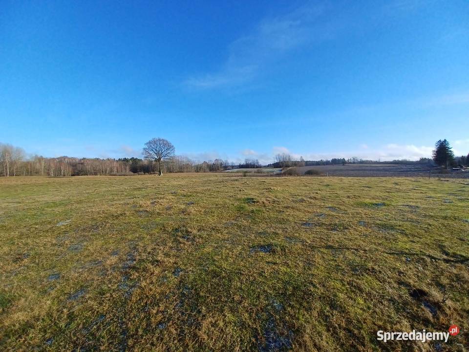 Działka budowlana 71zł/m2 Kołtki