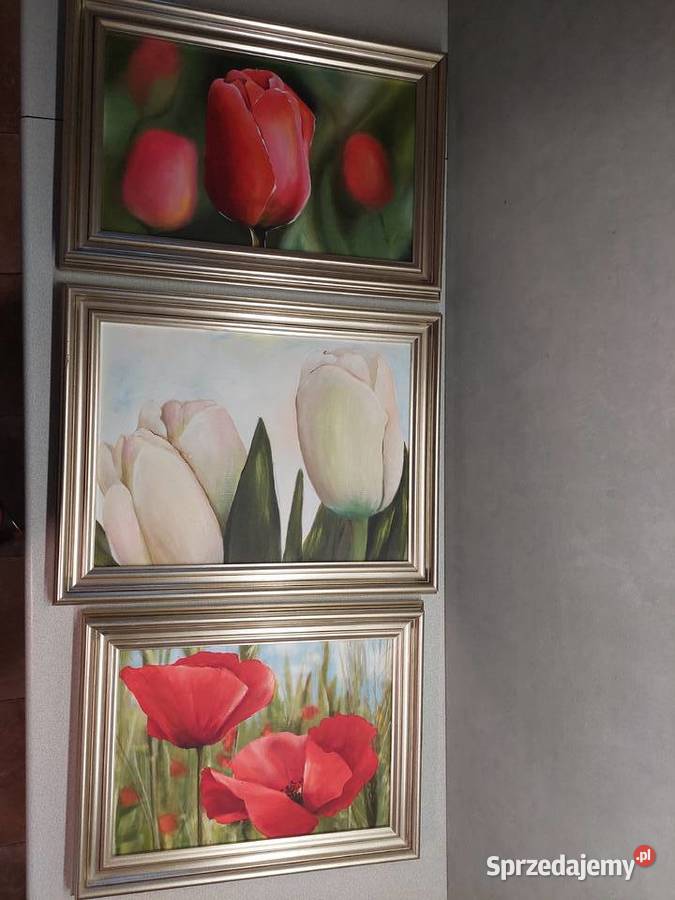 Kwiaty w jasnozłotej ramie trzy obrazy wielokolorowy dolnośląskie Wrocław