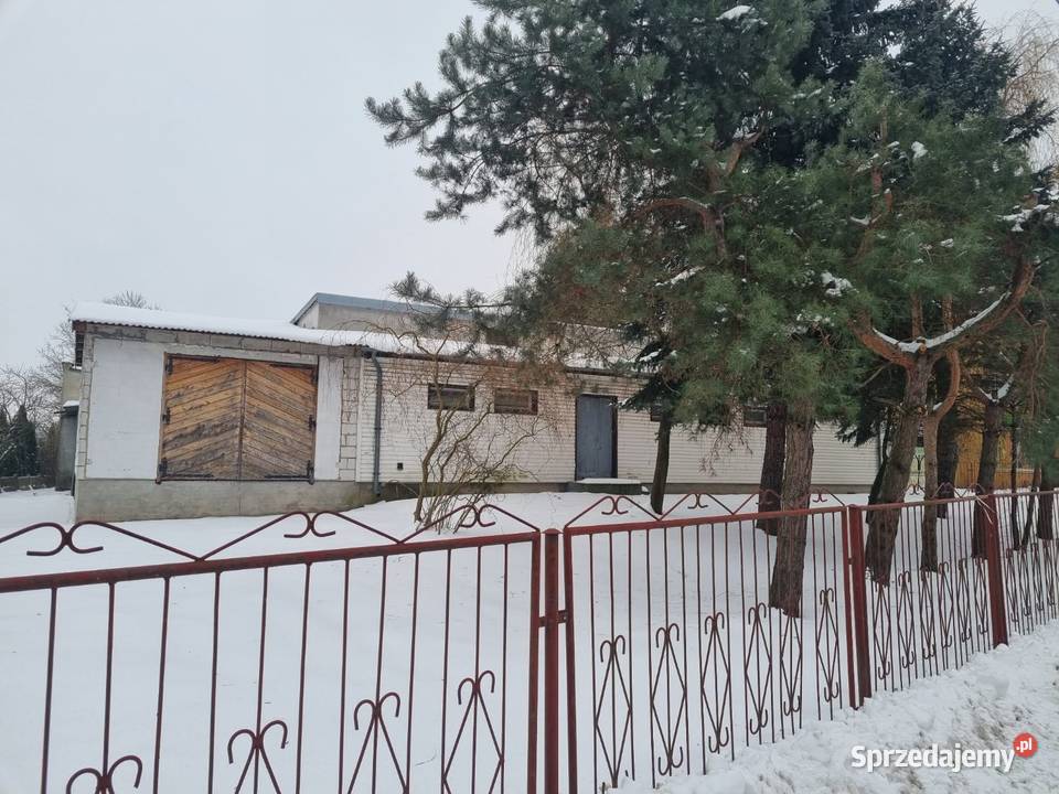 Lokal użytkowy wynajem Serniki