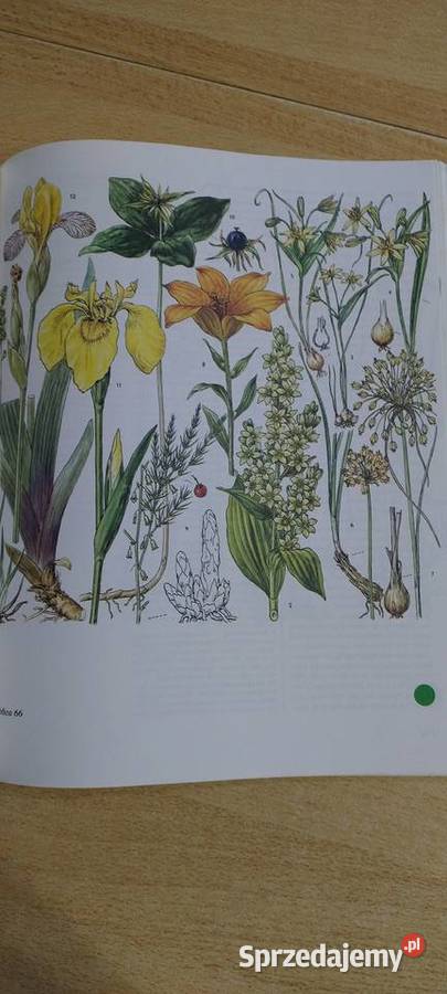 Świat roślin skał i minerałów Lublin