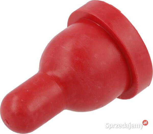 Smoczek czerwony wiaderka jagniąt 5 2775KER Kamionna sprzedam