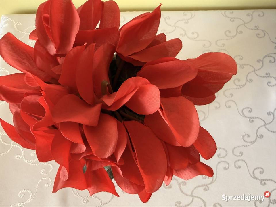 Sztuczny Kwiat Fiołek Alpejski Cyklamen Czerwony Sztuczne kwiaty i owoce Czerwionka-Leszczyny