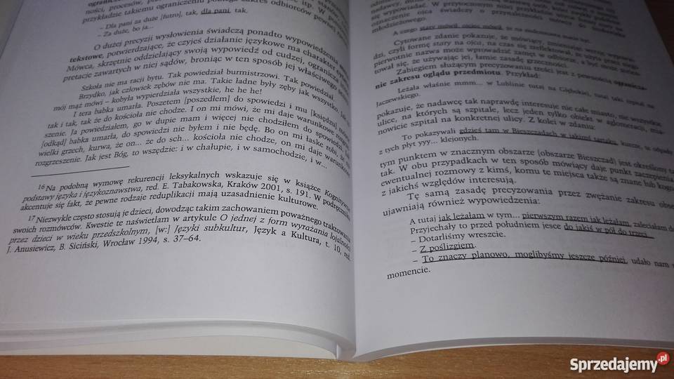 Potoczność a zachowania językowe Polaków Kultura i Rozrywka