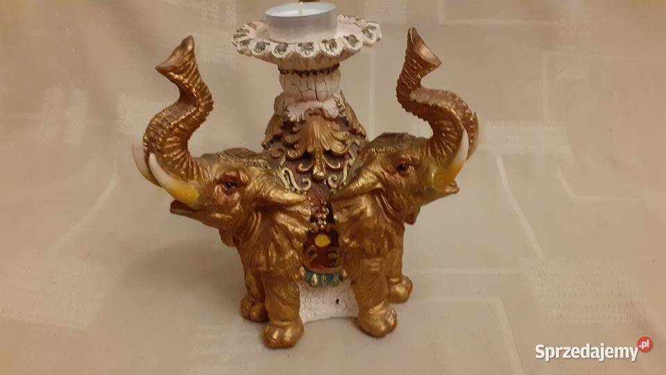 Słoń świecznik Szczecin