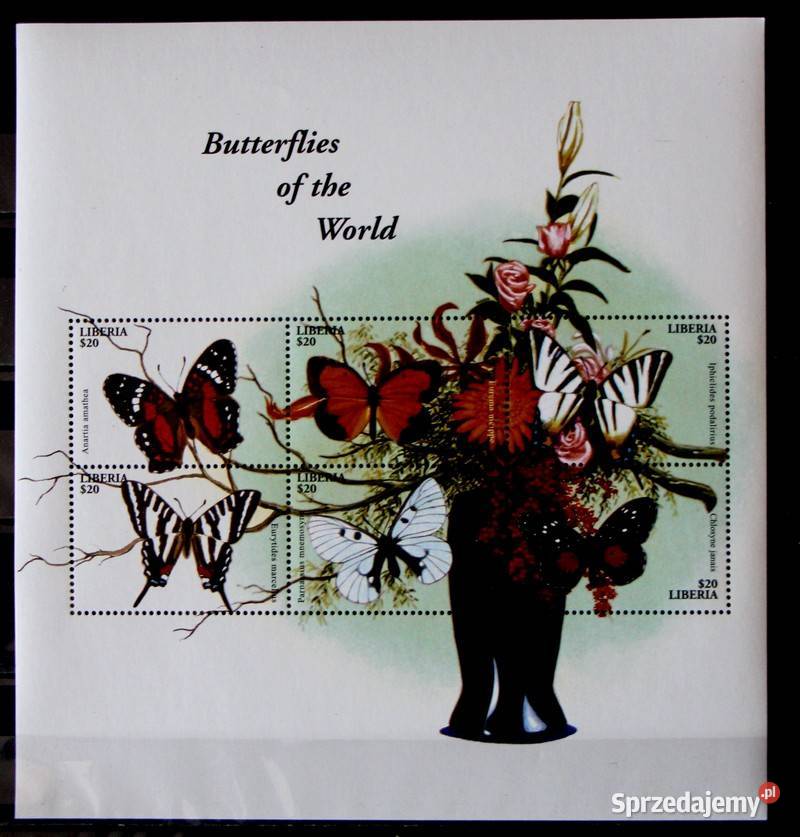 Liberia motyle 3 Oborniki sprzedam