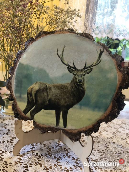 Obrazek na drewnie jeleń podkarpackie Strzyżów sprzedam