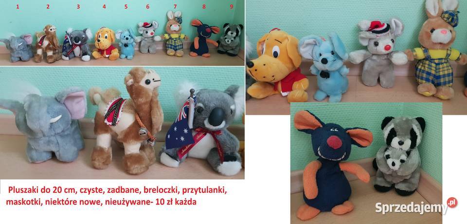 pluszaki misie zabawkimaskotki świętokrzyskie Kielce
