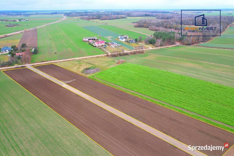 Spokojna okolica swietna Działki w Lipie woda Lipa
