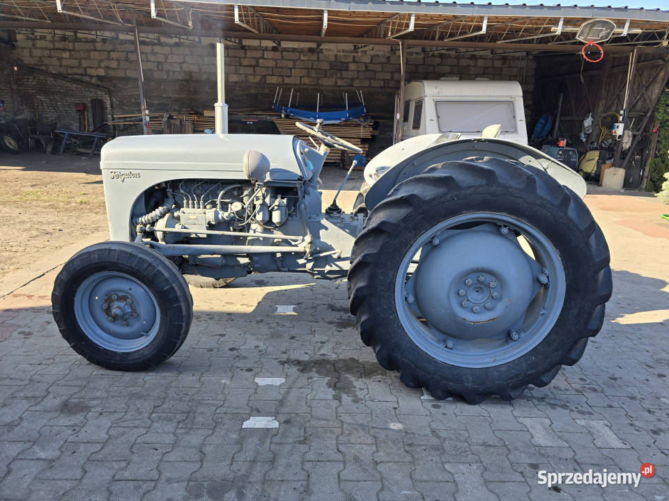 Zabytkowy ciągnik MASSEYHARRISFERGUSON TEF 20 Massey Ferguson Baliki