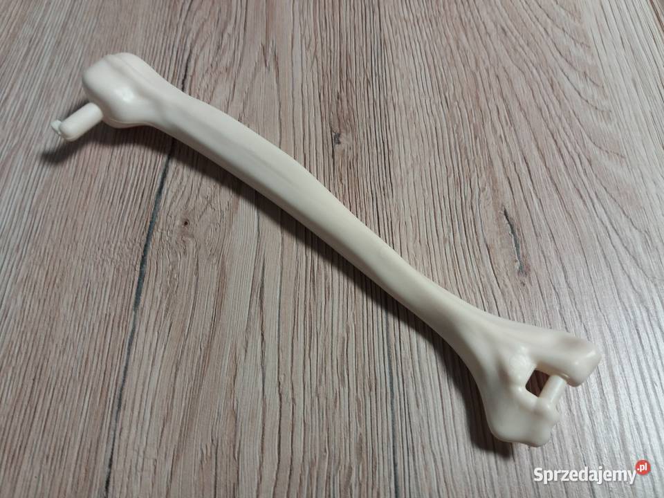 Tajemnice ludzkiego ciała kolekcja DeAgostini śląskie sprzedam