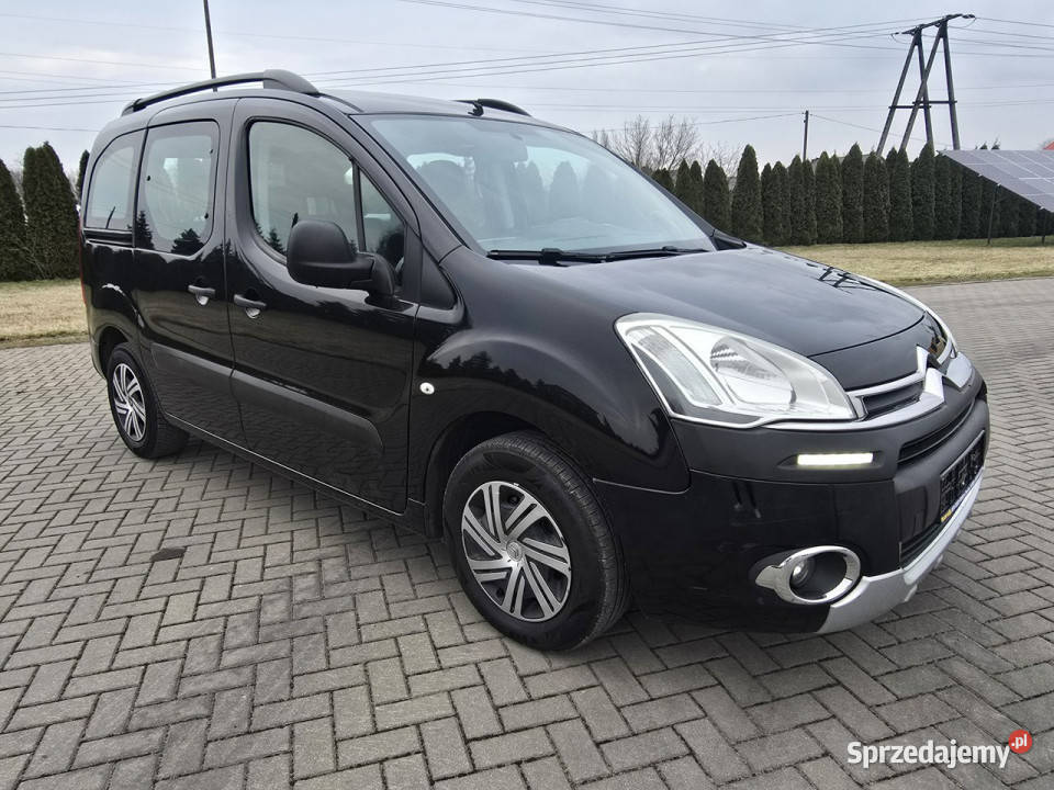 Citroen Berlingo 16HDI immobilizer łódzkie Kutno