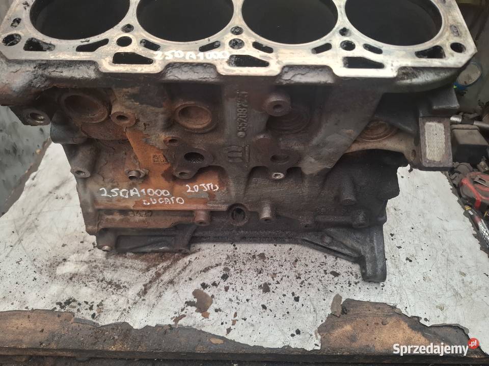 FIAT DUCATO 20 JTD blok silnika 250A1000 świętokrzyskie Kielce